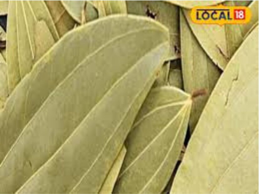 পাচনতন্ত্র শক্তিশালী করে – তেজপাতার চা কোষ্ঠকাঠিন্য, অ্যাসিডিটি ও পেটে ব্যথা থেকে মুক্তি দেয় এবং হজম প্রক্রিয়াকে উন্নত করে।