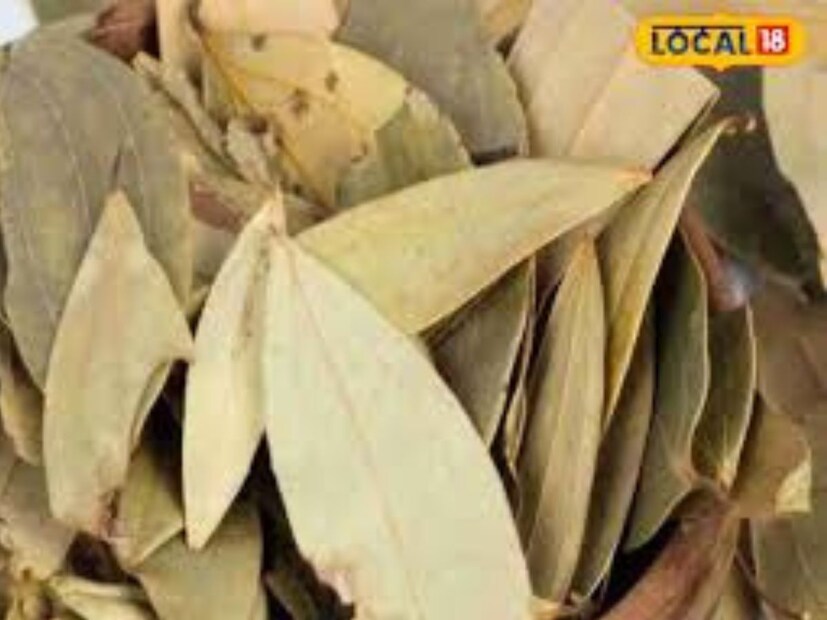 পুষ্টিগুণে ভরপুর – তেজপাতায় ক্যালসিয়াম, পটাশিয়াম, তামা, জিঙ্ক, লোহা ও ম্যাগনেসিয়ামের মতো পুষ্টি উপাদান রয়েছে। এতে অ্যান্টিঅক্সিডেন্ট, অ্যান্টি-ক্যান্সার, অ্যান্টি-ব্যাকটেরিয়াল ও অ্যান্টি-ইনফ্ল্যামেটরি গুণাবলীও রয়েছে।
