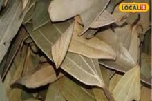 সকালে এই চা খান, কোষ্ঠকাঠিন্য পালাবে, দাপাদাপি কমবে ডায়াবেটিস কোলেস্টেরলের!
