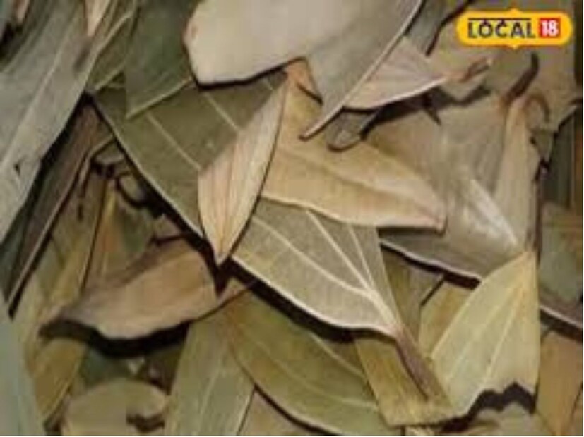হার্টের জন্য ভাল – তেজপাতা খারাপ কোলেস্টেরলের মাত্রা কমিয়ে হৃদরোগের ঝুঁকি হ্রাস করে।