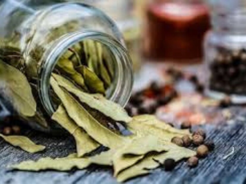 ঠান্ডাজনিত সমস্যা দূর করে – শীতকালে তেজপাতার চা ঠান্ডা-কাশি ও মাথাব্যথার মতো সমস্যাগুলির সমাধান করে।