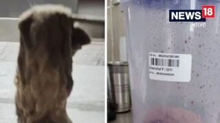 ৩ মাস ধরে পেটে অসহ্য যন্ত্রণা সহ্য করলেন প্রসূতি, তারপর পেট থেকে যা বের হল...চমকে উঠবেন!