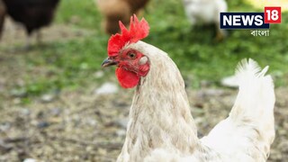 চুরি না করেও চোরের অপবাদ! ব্যক্তিকে পিটিয়ে মারল প্রতিবেশির ছেলে