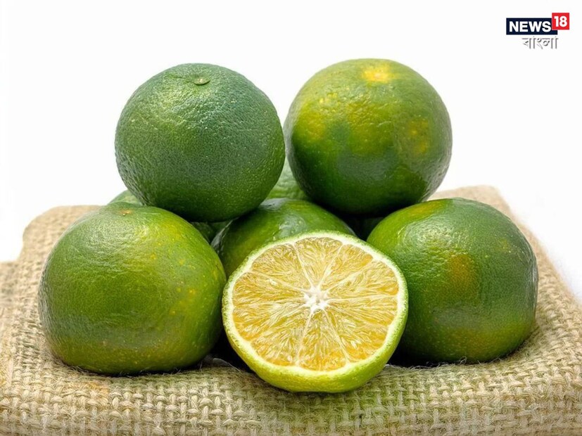 মুসাম্বি একটি খুবই জনপ্রিয় ফল। দেশের বেশিরভাগ অংশে মুসাম্বি জুসের দোকান দেখতে পাওয়া যায়। এই ফলের মধ্যে অনেক স্বাস্থ্য উপকারিতা লুকিয়ে আছে। 