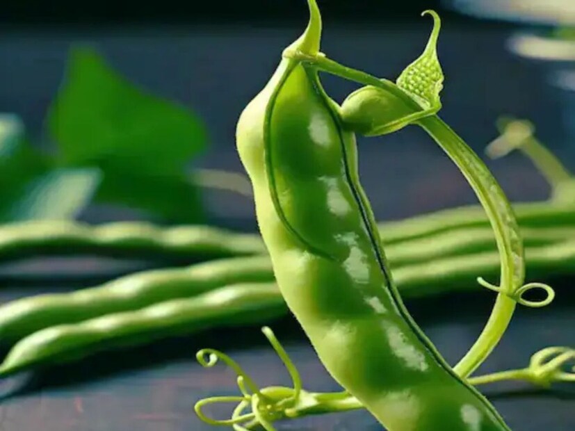 বিনস (Beans):ফাইবার, পটাসিয়াম এবং উদ্ভিজ্জ প্রোটিনে সমৃদ্ধ। এটি শরীরের অতিরিক্ত মেদ কমাতে কার্যকর।