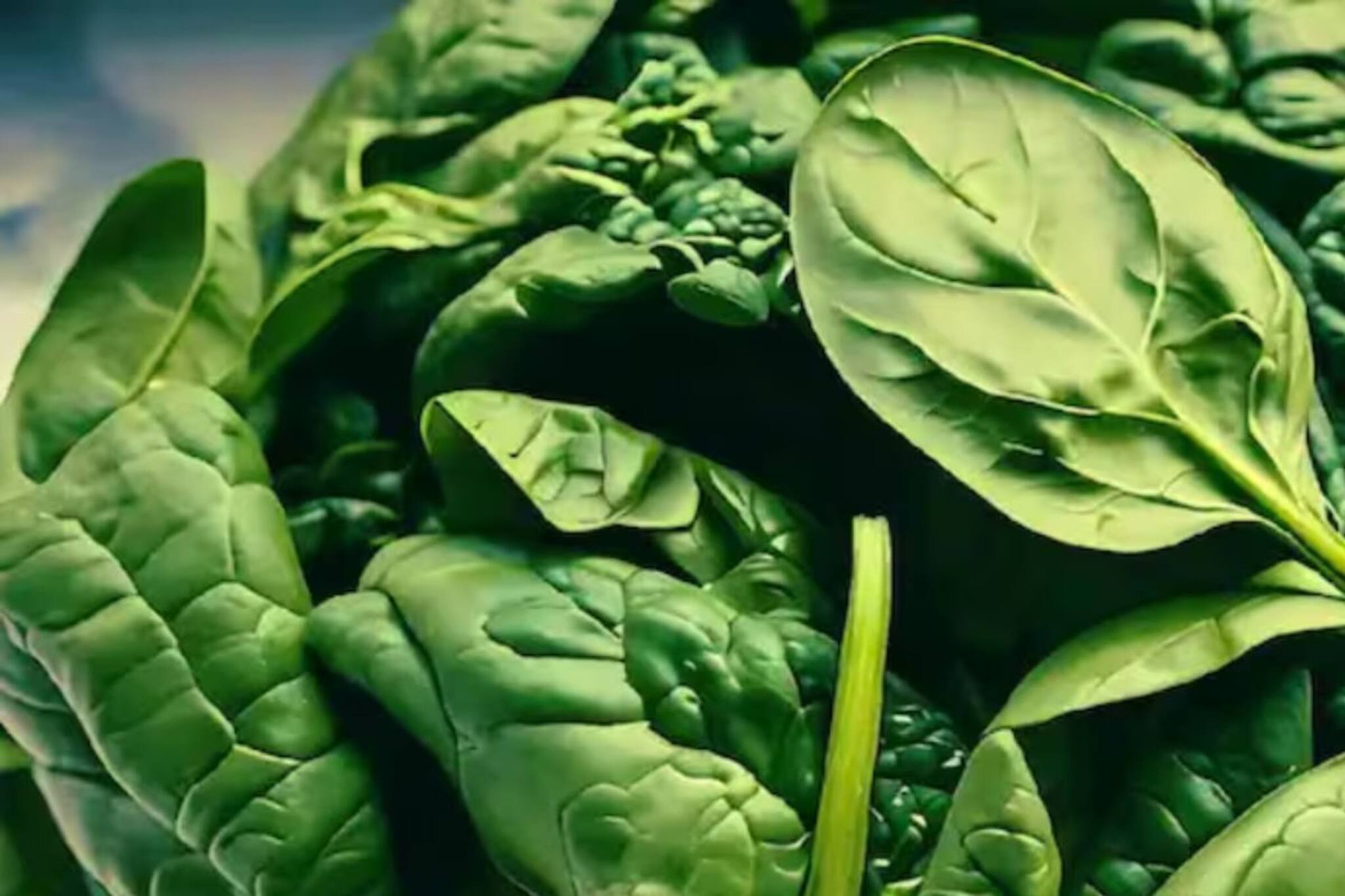 শীতে সবার খুব পছন্দের এই সবুজ পাতা! শুধু কী ভাবে খেলে পাবেন 'ডাবল' রেজাল্ট জানুন