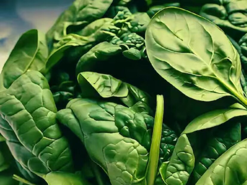 পালং শাক (Spinach):পুষ্টিগুণে সমৃদ্ধ পালং শাককে সুপারফুড বলা হয়। এতে আয়রন এবং ক্লোরোফিল থাকে, যা পেটের মেদ কমাতে সহায়ক।
