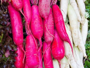 শীতে শুধু সাদা নয়, লাল এই সবজিও গুণে ঠাসা, ওজন কমায়, নিয়ন্ত্রণ করে রক্তচাপ!