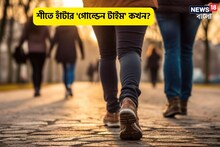 হাঁটলেই রোগা হবেন না, শীতে হাঁটার 'গোল্ডেন টাইম' কখন?মোমের মতো মেদ গলে জল
