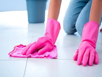 পরিশ্রম ছাড়া ঘর পুরো সাফ... আরশোলা, টিকটিকির উপদ্রব থেকে মুক্তি! ঘর মোছার জলে শুধু মেশান পরিশ্রম ছাড়া ঘর পুরো সাফ... আরশোলা, টিকটিকির উপদ্রব থেকে মুক্তি! ঘর মোছার জলে শুধু মেশান