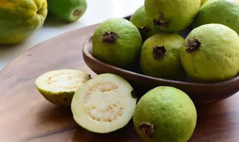 ডায়াবেটিসে কোনও খাবার খাবেন কিনা, সেটা ঠিক করে খাবারের গ্লাইসেমিক ইনডেক্স৷ যার গ্লাইসেমিক ইনডেক্স বেশি, সেই খাবারের প্রভাবে রক্তে শর্করার মাত্রা বেশি বাড়ে৷ সেদিক থেকে দেখতে গেলে পেয়ারার গ্লাইসেমিক ইনডেক্স বা জিআই কম৷