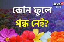 ফুল দেখলেই গন্ধ শোঁকেন? কিন্তু কোন কোন ফুলে গন্ধ নেই জানেন!গন্ধ না থাকার কারণ কী