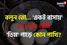 কোন পাখি 'একই বাসায়' ১০০ টিরও বেশি 'ডিম' পাড়ে বলুন তো...? চমকে দেবে নাম, সিওর!