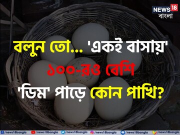 কোন পাখি 'একই বাসায়' ১০০ টিরও বেশি 'ডিম' পাড়ে বলুন তো...? চমকে দেবে নাম, সিওর!