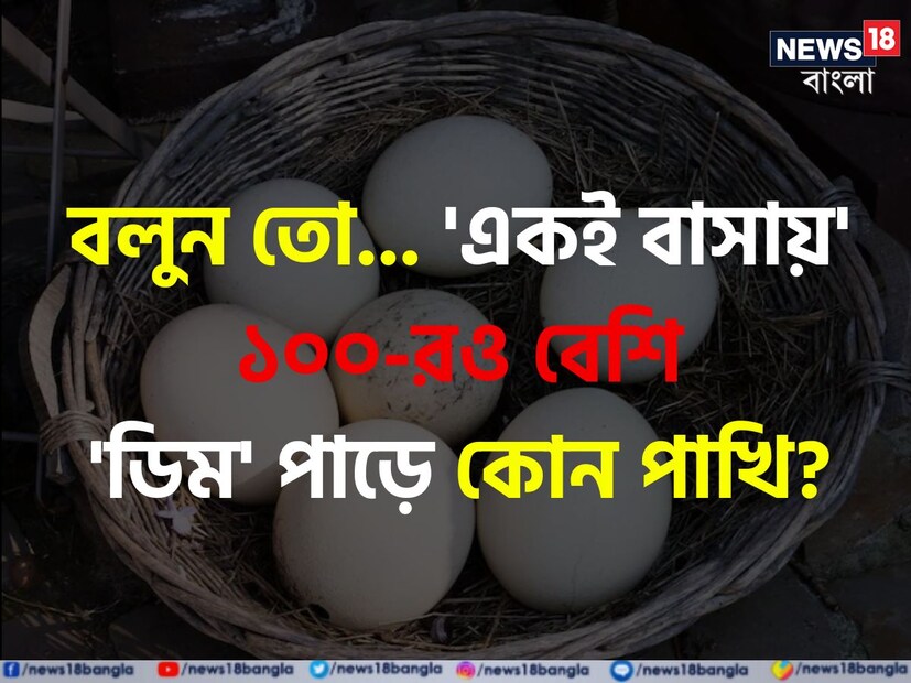 সাধারণ জ্ঞান প্রতি মুহূর্তে নতুন নতুন করে আমাদের জ্ঞানের পরিধি বাড়িয়ে দেয়। আর এই জ্ঞানের পরতে পরতে রয়েছে চমক। কখনও খাবার দাবার তো কখনও জ্ঞান বিজ্ঞান, ইতিহাস-ভূগোল থেকে প্রকৃতি। আমাদের চারিপাশের অদ্ভুত সব অলৌকিক ঘটনা নিয়ে নতুন নতুন তথ্য তুলে দেয় এই জেনারেল নলেজ বা জিকে।