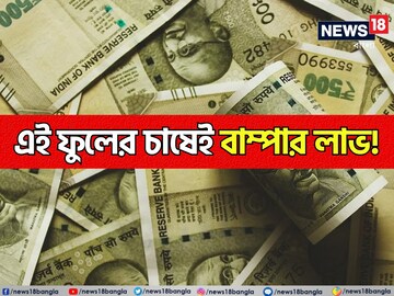 টাকার ফোয়ারা ছুটছে..! এই ফুলের চাষে বাম্পার লাভ! রাতারাতি মালামাল হচ্ছেন কৃষকরা! টাকার ফোয়ারা ছুটছে..! এই ফুলের চাষে বাম্পার লাভ! রাতারাতি মালামাল হচ্ছেন কৃষকরা!