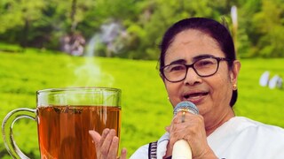 দার্জিলিং চায়ের সুনাম অক্ষুন্ন রাখতে ব্যবস্থা নিচ্ছে রাজ্য সরকার৷ 