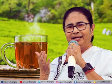 দার্জিলিং চায়ের সুনাম অক্ষুন্ন রাখতে ব্যবস্থা নিচ্ছে রাজ্য সরকার৷ 