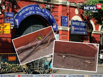 কেএমসি-তে সাপের আতঙ্ক