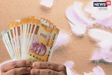 দিনে দ্বিগুন, রাতে চারগুণ! দু-হাত ভরে আসবে টাকা, লাল কাপড়ে বেঁধে রাখুন এই পালক