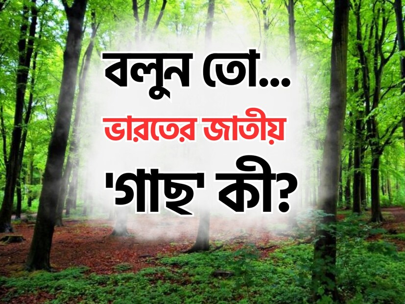 সাধারণ জ্ঞানের প্রতি বাঁকেই আছে চমক। আর এই জ্ঞান অনেকসময়ই এমন কিছু বিষয় সামনে এনে দেয় যা আমাদের অবাক করে। দেশ দুনিয়ার অনেক খবর রাখলেও হয়তো নিজের দেশেরই খুব চেনা কিছু বিষয় আমাদের অজানা।