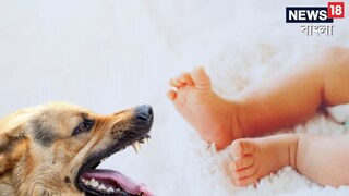 সদ‍্যজাত শিশুকে মুখে তুলে নিয়ে গেল কুকুর, শিউরে ওঠা ঘটনা বাঁকুড়ায়