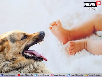 সদ‍্যজাত শিশুকে মুখে তুলে নিয়ে গেল কুকুর, শিউরে ওঠা ঘটনা বাঁকুড়ায়