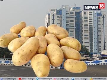 Potato Price Hike: ৩০ টাকার উপরে যেন না যায়! নইলে…, আলুর দাম নিয়ে কঠোর নিষেধাজ্ঞা জারি করল নবান্ন