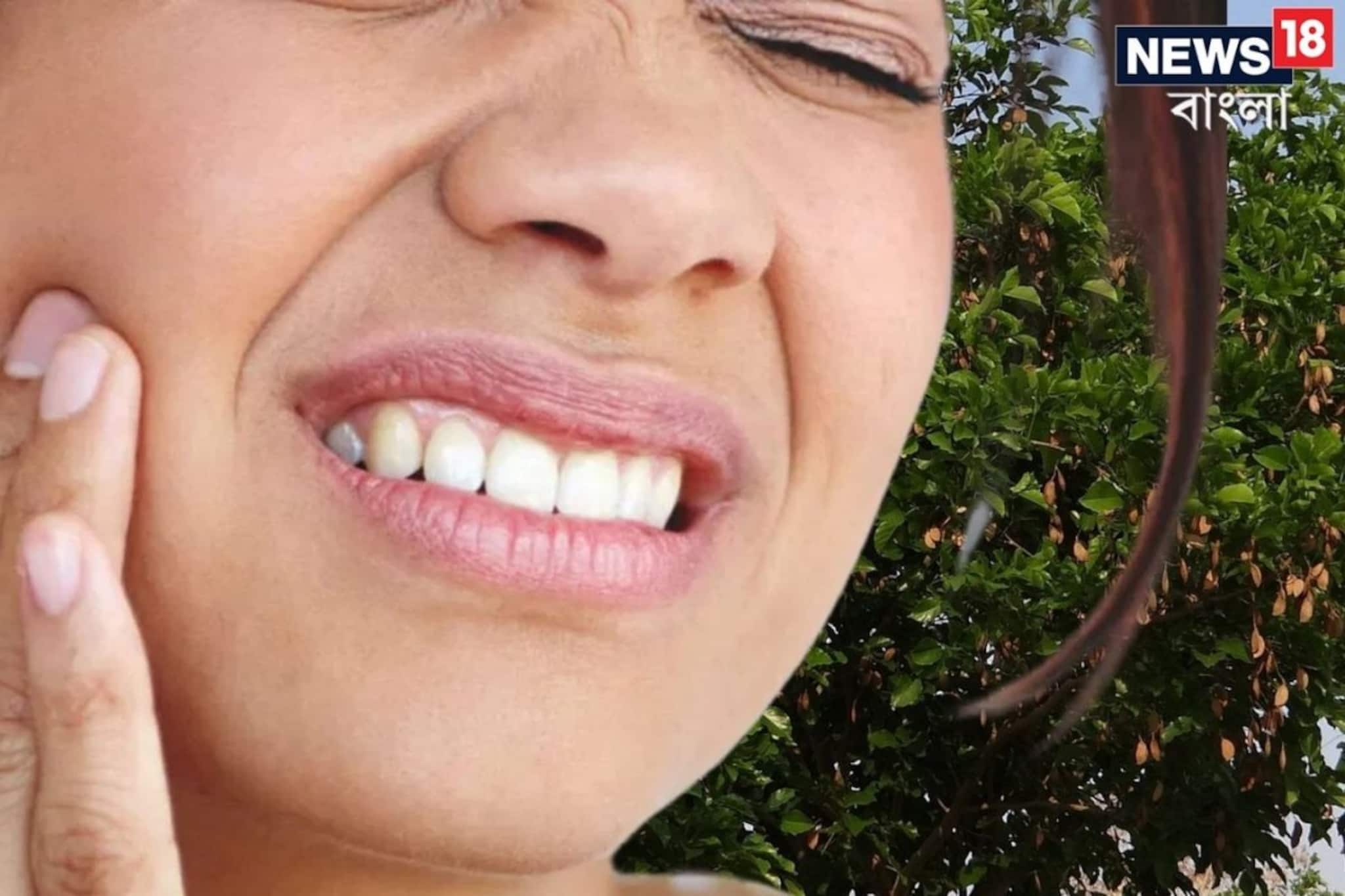 দাঁতের ব্যথা 'ক্লিন বোল্ড'! ক্যাভিটি,পাইওরিয়ার যম! ব্যবহার করুন এই 'টুথপিক'