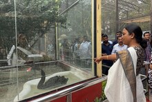 আলিপুর চিড়িয়াখানায় তৈরি হচ্ছে মানুষের খাঁচা! দেড়শ বছরের ইতিহাসে প্রথমবার! দেখুন