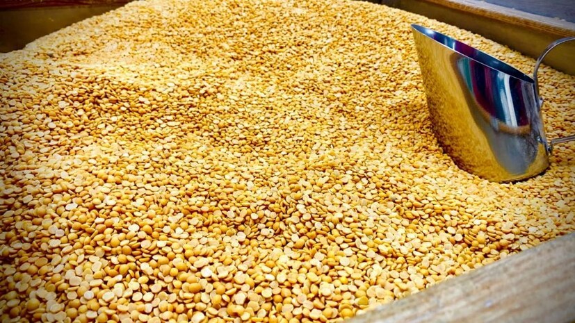 ইউরিক অ্যাসিড হল একটি বিষ যা পিউরিন খাদ্য গ্রহণের কারণে অতিরিক্তভাবে তৈরি হয়। যাদের ইউরিক অ্যাসিডের সমস্যা আছে তাদের এটি খাওয়া উচিত নয়। অড়হর ডাল খেলে ইউরিক অ্যাসিডের সমস্যা বাড়ে। এই ডালে প্রোটিন থাকে যার কারণে শরীরে ইউরিক অ্যাসিডের পরিমাণ বাড়তে থাকে। গেঁটে বাত থেকে বাঁচতেও দূরে থাকুন অড়হর ডাল থেকে৷