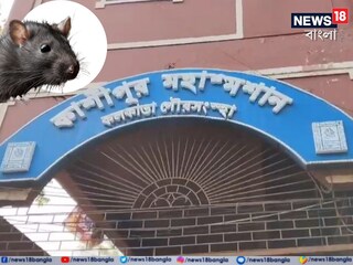 কাশীপুর মহাশ্মশানে ইঁদুরের তাণ্ডব৷