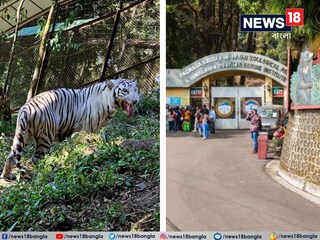 News18