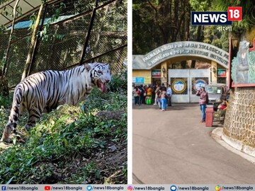 News18