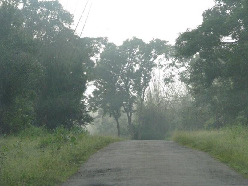 তবে সুখবর দিয়েছেন আবহবিজ্ঞানীরা৷ তাঁদের পূর্বাভাস, আগামী ২-৩ দিন কলকাতায় তাপমাত্রা ২-৩ ডিগ্রি সেলসিয়াস কম থাকবে৷ পিছু ছাড়েনি বৃষ্টিও৷