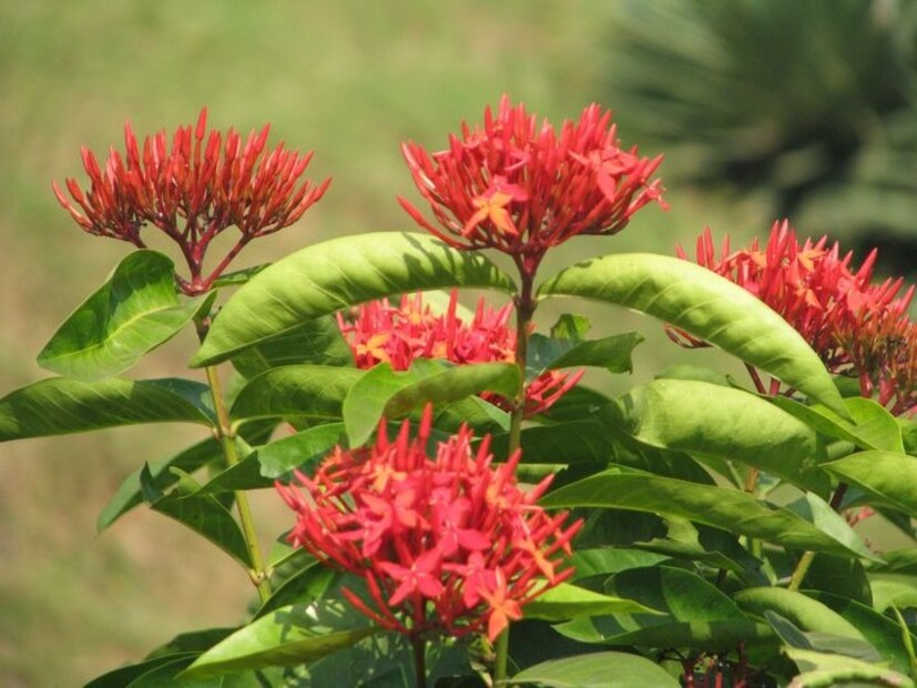 আবহাওয়া দফতরের পূর্বাভাস, আগামী ৪ ও ৫ নভেম্বর পূর্ব মেদিনীপুর, উত্তর ও দক্ষিণ ২৪ পরগণাতে হালকা বৃষ্টির সম্ভাবনা রয়েছে।