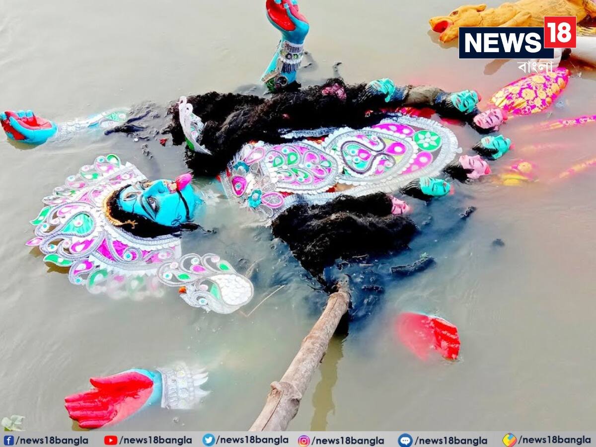 কালীপুজোর ভাসানে কেলেঙ্কারি! গৃহবধূর গায়ে মদ ঢেলে মারধর...! কী হল তার পর?