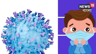 ব্যাপক হারে ছড়াচ্ছে RSV ভাইরাস! শিশুদের রক্ষা করতে কী করণীয়? দেখে নিন ব্যাপক হারে ছড়াচ্ছে RSV ভাইরাস! শিশুদের রক্ষা করতে কী করণীয়? দেখে নিন