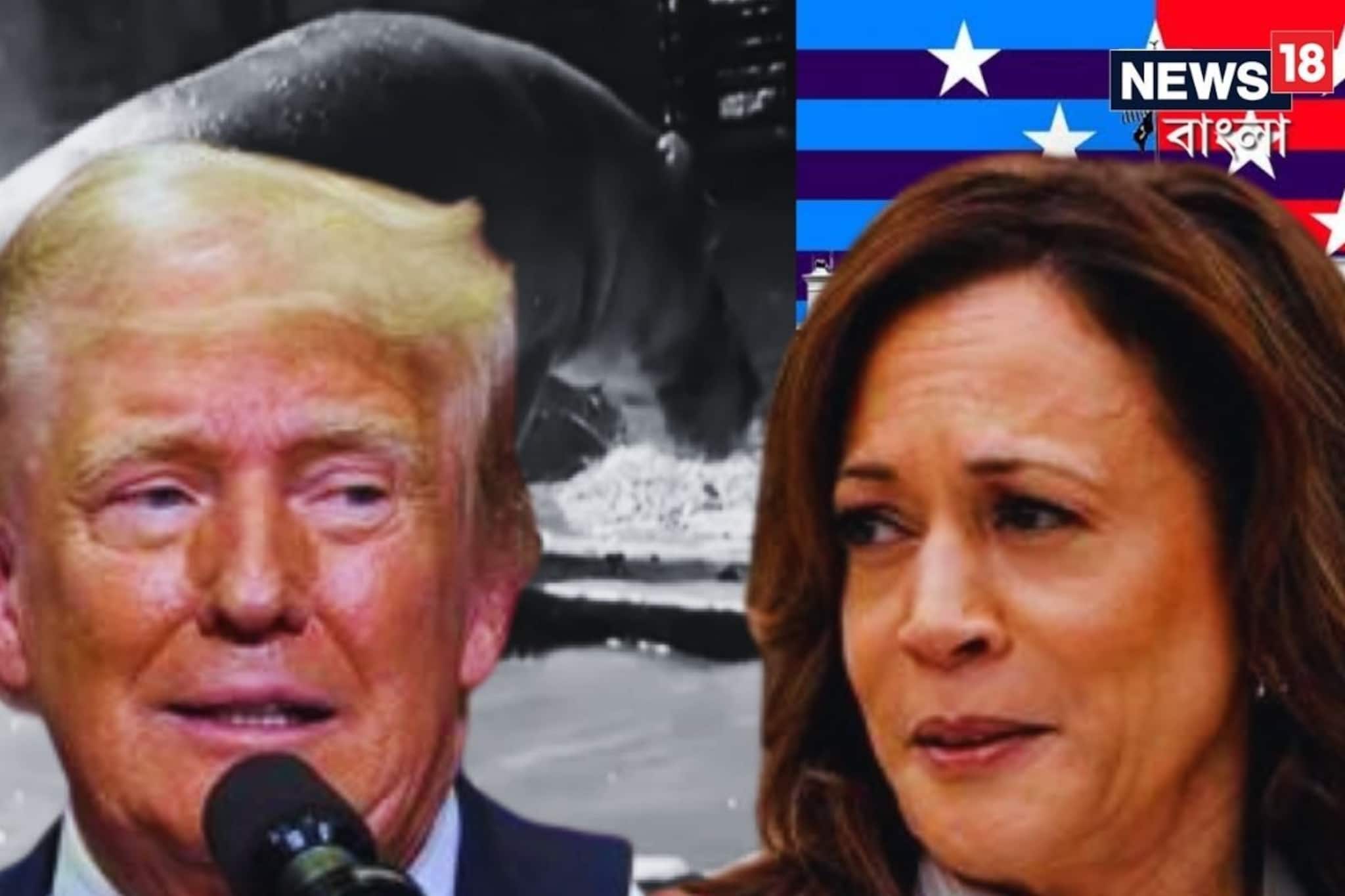 ট্রাম্প না হ্যারিস? কে জিতলে ভারতের লাভ? বুঝিয়ে দিল ভাইরাল Hippo! দেখুন