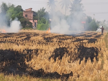 হুগলি জেলা জুড়ে দেখা যাচ্ছে এই ছবি৷