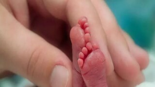 কলকাতা হাইকোর্টে বড় নির্দেশ