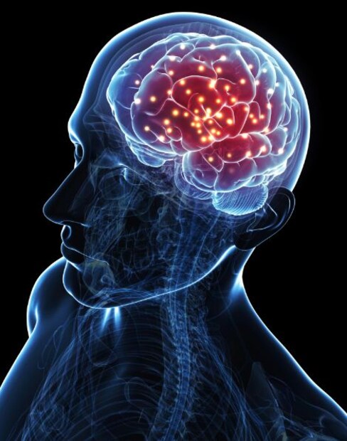 স্মৃতি শক্তি ভাল রাখা থেকে শুরু করে মস্তিষ্ককে শক্তিশালী রাখতে খাওয়া যেতে পারে বেশ কিছু খাবার। ড: মিলটন বিশ্বাস এই বিষয়ে কী বলছেন দেখুন।  (বনোয়ারীলাল চৌধুরী) 