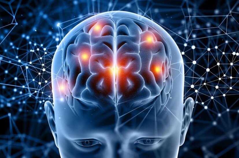 ব্রেনের স্বাস্থ্য ভাল রাখার জন্য নিম্নলিখিত ছয় ধরনের খাবার খাদ্য তালিকায় রাখা যেতে পারে। খাদ্য তালিকায় রাখা যেতে পারে বিভিন্ন প্রকার বাদাম। খাদ্য তালিকায় দৈনিক দশ গ্রাম বিভিন্ন রকম বাদাম রাখা যেতে পারে। বাদামের মধ্যে প্রচুর পরিমাণে ওমেগা থ্রি ফ্যাটি অ্যাসিড, এবং অ্যান্টিঅক্সিডেন্ট থাকে যেটি স্মৃতিশক্তি বাড়ায় এবং ব্রেনকে শক্তিশালী করে। 