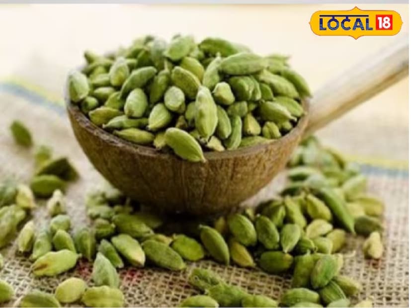  জ্যোতিষাচার্যের মতে, যদি আপনি বারবার খারাপ স্বপ্ন দেখেন, যার কারণে আপনার ঘুম প্রায়শই বিঘ্নিত হয়, তাহলে 11টি সবুজ এলাচের বান্ডিল তৈরি করে শনিবার আপনার বালিশের মধ্যে রাখুন। এটি খারাপ স্বপ্ন থেকে মুক্তি দিতে সাহায্য করবে এবং ভাল ঘুম হবে। 