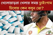 খেলার মাঠে চুইং গাম কেন চিবোন খেলোয়াড়রা? স্টাইল নয়! আসল কারণ অবাক করবে