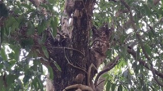 ফাইল ছবি ফাইল ছবি