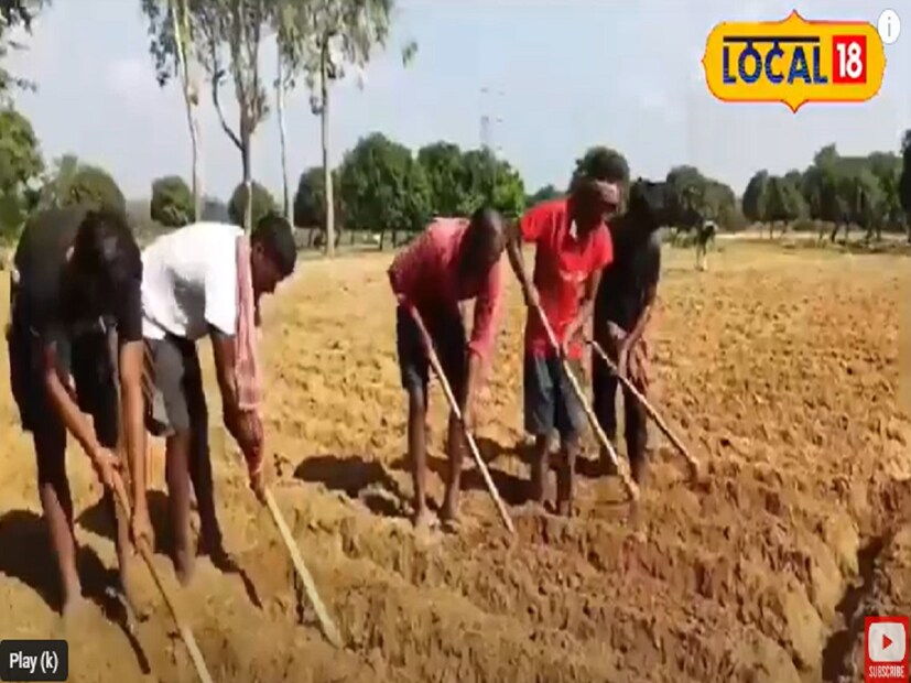 এই ঘটনার পরেই ভগবানগোলা ব্লক সমষ্টি উন্নয়ন আধিকারিক, ভগবানগোলা থানার ভারপ্রাপ্ত আধিকারিক বিশ্বজিৎ হালদার এবং বিধায়ক রেয়াত হোসেন সরকারের উপস্থিতিতে একটি গুরুত্বপূর্ণ আলোচনা হয়। বিএসএফ-এর পক্ষ থেকে শুভম পাঠক জানান, সীমান্ত এলাকার বর্তমান আন্তর্জাতিক পরিস্থিতির কারণে এবার জিরো পয়েন্ট থেকে অন্তত ১৫০ মিটার ছেড়ে পাট চাষ করতে হবে।