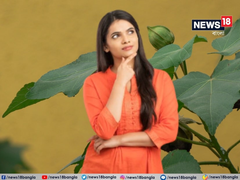 প্রকৃতিতে কত না বিস্ময়! এমন এক উদ্ভিদ রয়েছে, যার ফুল দিনে ৩ বার রঙ বদলায়! জানেন কী ফুল? চেনা লাগতে পারে। হয়তো দেখেছেন আপনিও। আজ জানুন, সেই ফুলের রহস্য।
