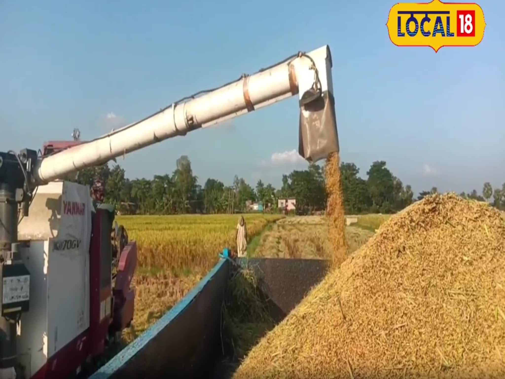 ১৫-২০ মিনিটে ধান কাটা, ঝাড়া সব কমপ্লিট! মাঠ কাঁপাচ্ছে নতুন মেশিন, খরচও নামমাত্র