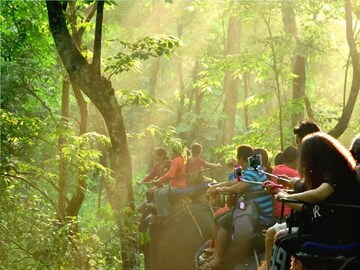 আচমকা কী হল জলদাপাড়ায়! দেশের নানা প্রান্ত থেকে ছুটছেন পর্যটকরা! জানুন কারণ